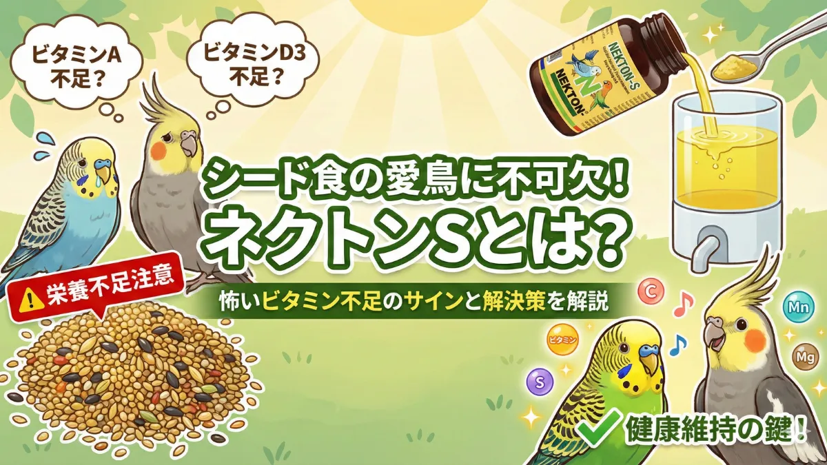 ネクトンSの黄色いボトルとビタミン成分を表す画像。13種のビタミンと18種のアミノ酸配合のサプリメント。