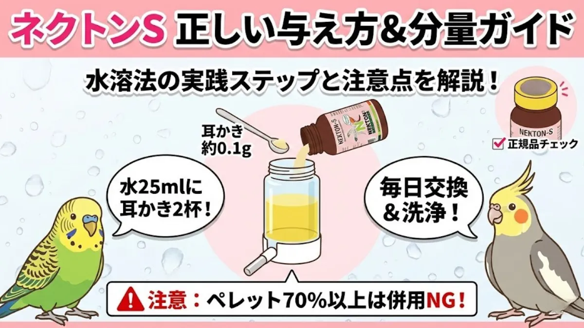 ネクトンSを飲み水に溶かす正しい与え方を示す画像。水250mlに対し1g、水25mlに対し耳かき2杯程度が目安。