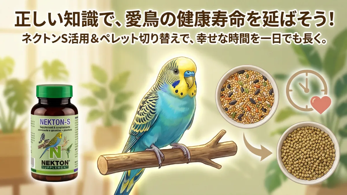 インコの健康寿命を延ばすための総括イメージ。ビタミン補給・ペレット切り替え・きめ細やかな管理の重要性を示す。