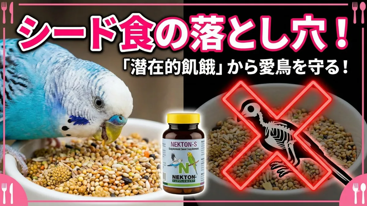 シード食の潜在的飢餓リスクを示す画像。炭水化物と脂質が多くビタミンやミネラルが不足する問題点を図解。