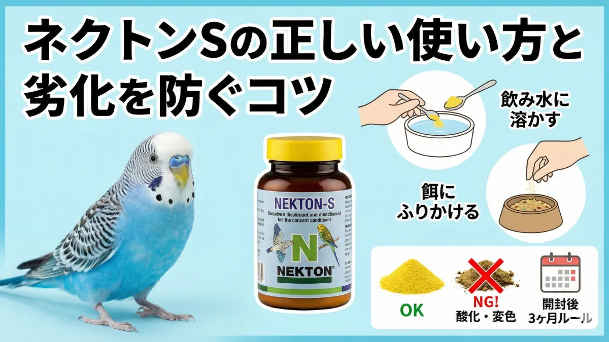 ネクトンSの適切な使い方を示す画像。水に溶かす方法・餌にふりかける方法・保存方法の3つのポイントを解説。