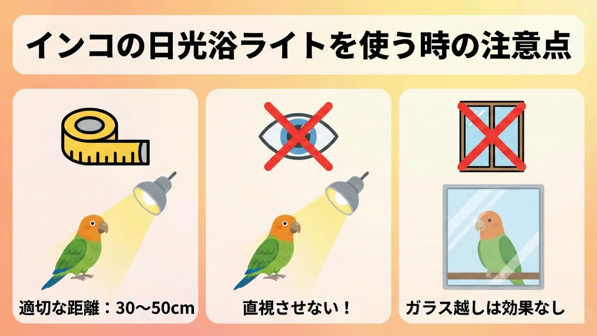 インコの日光浴ライト使用時の注意点を示す画像。適切な距離30～50cm、照射角度は上から、ガラス越しNG、直視禁止など安全な使い方。