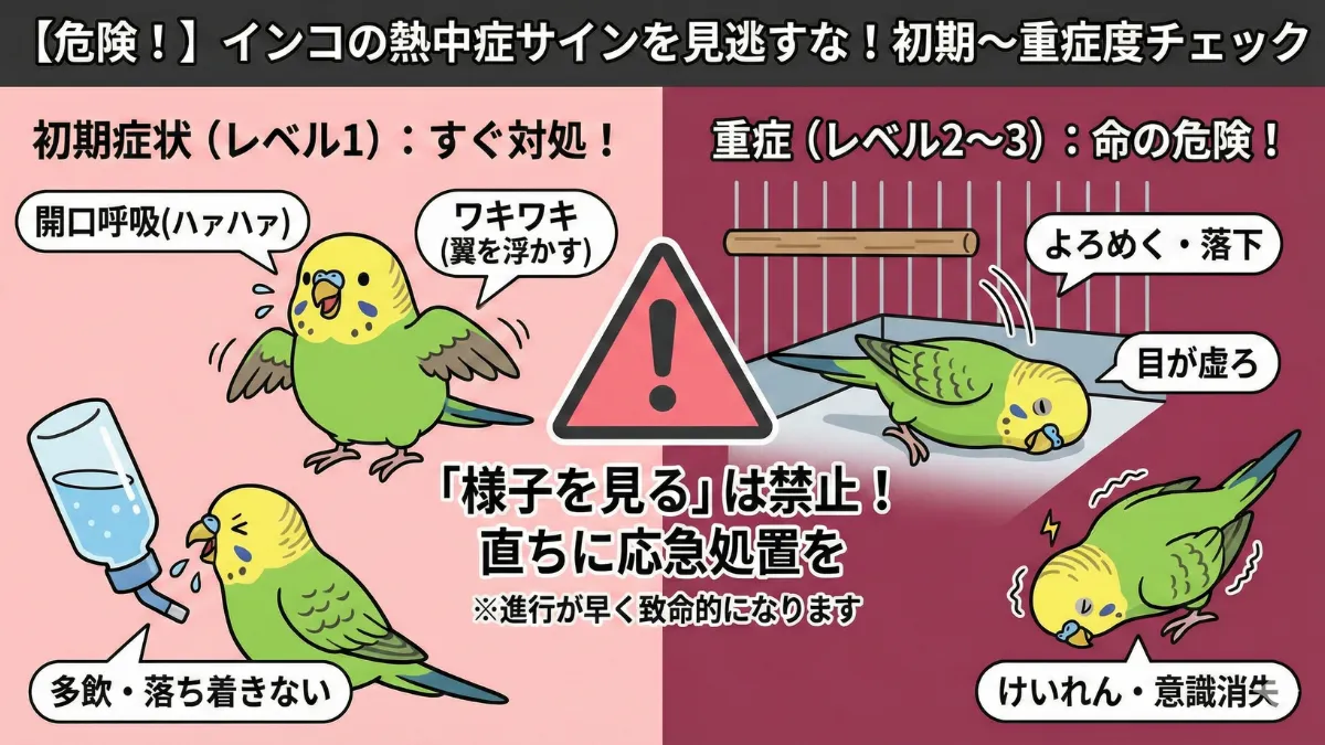 インコの熱中症の初期症状を示す画像。開口呼吸・翼を浮かせる・水を飲むなどの危険なサインを図解。