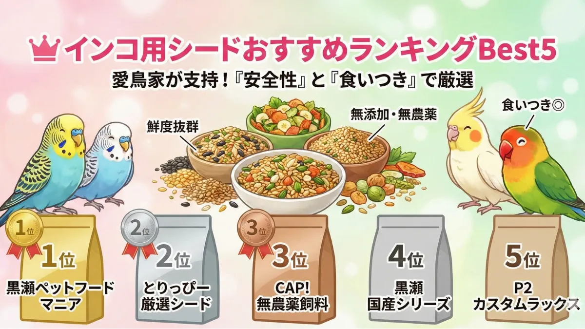 インコ用シードおすすめランキングBest5を紹介する画像。安全性と食いつきの良さで選んだ高品質シードを比較。