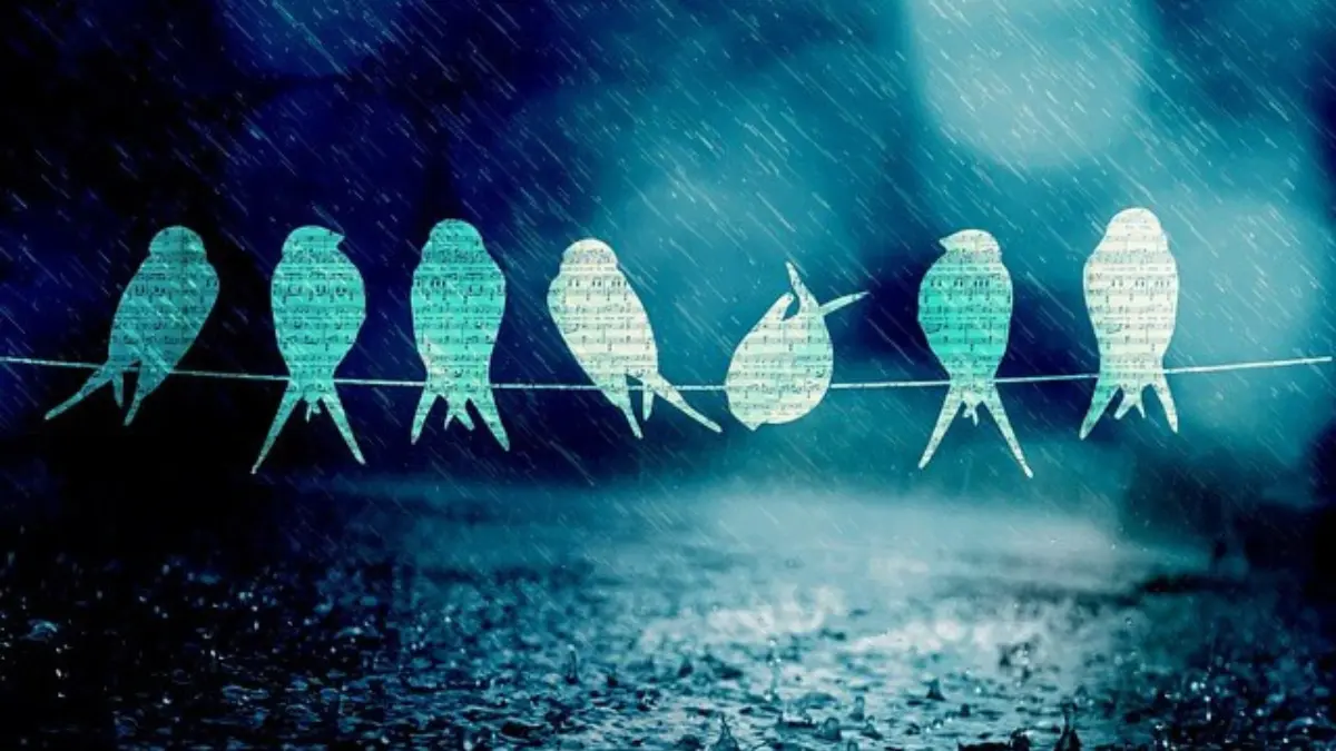 忙しい飼い主が直面する日光浴の3つの壁。天候と気温、時間と不在、週末だけでは不十分という課題