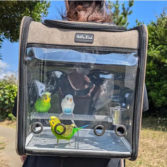 Hopeholic鳥用キャリーリュックの4面メッシュ構造。通気性を確保しながらインコの視界も開放的で、散歩や短時間移動に最適。