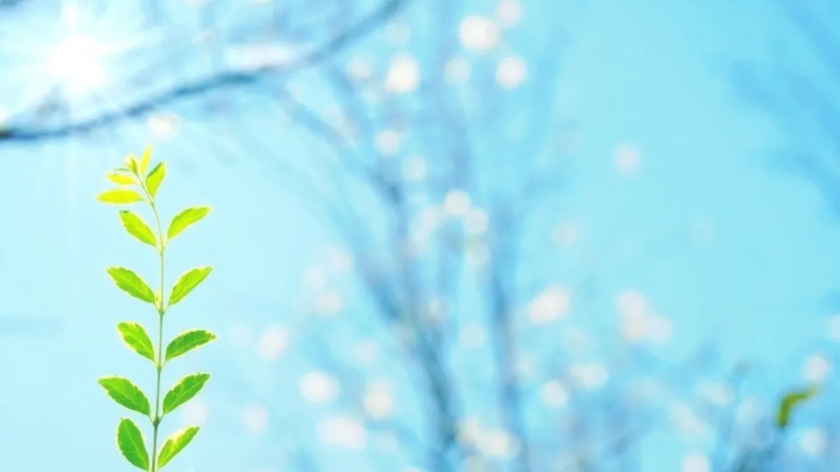 ビバリア太陽NEO通常版とスパイラルUVB26Wのセット。インコの室内飼育に最適な日光浴環境。