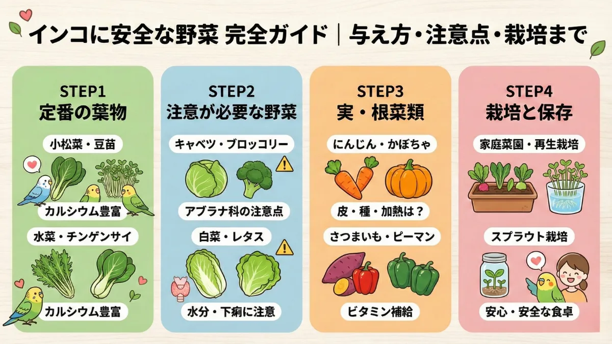 インコの野菜｜食べていいもの・ダメなもの完全ガイド【一覧・栄養図鑑】