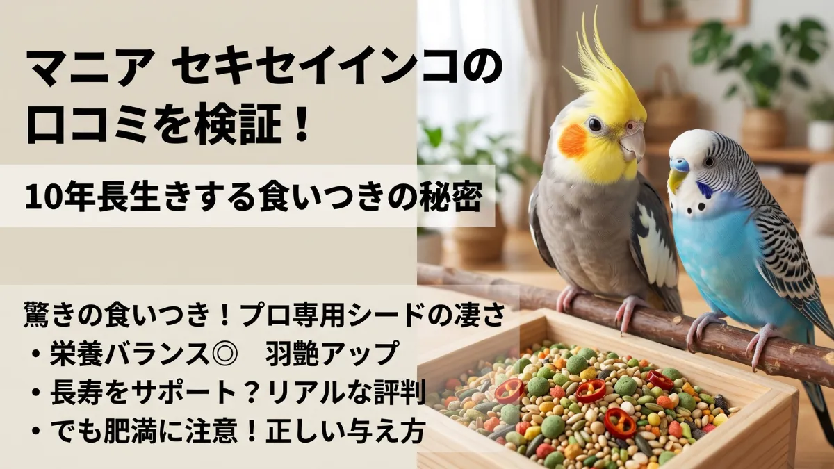 セキセイインコ マニア